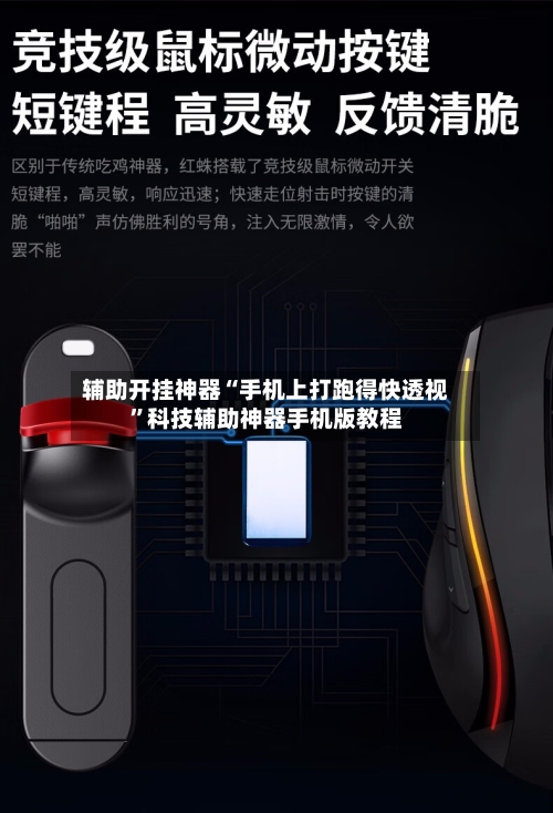 辅助开挂神器“手机上打跑得快透视”科技辅助神器手机版教程-第1张图片