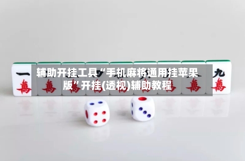 辅助开挂工具“手机麻将通用挂苹果版”开挂(透视)辅助教程-第2张图片