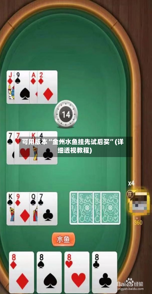 可用版本“金州水鱼挂先试后买”(详细透视教程)-第2张图片