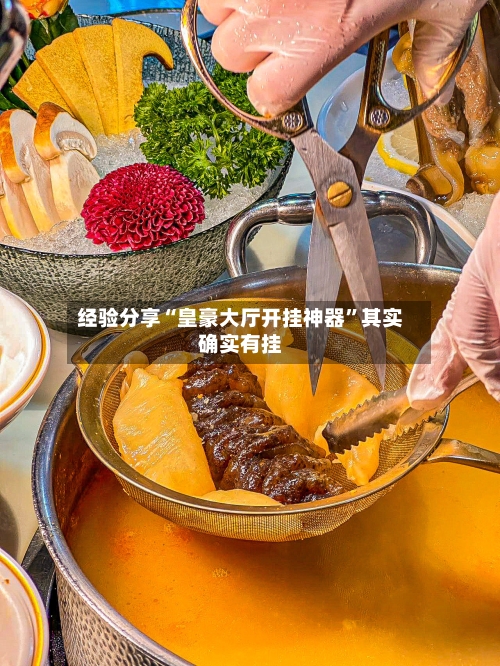 经验分享“皇豪大厅开挂神器	”其实确实有挂-第2张图片