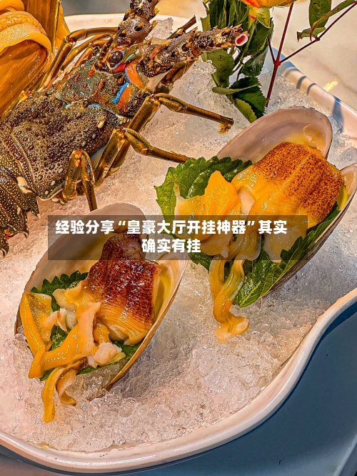 经验分享“皇豪大厅开挂神器”其实确实有挂-第3张图片