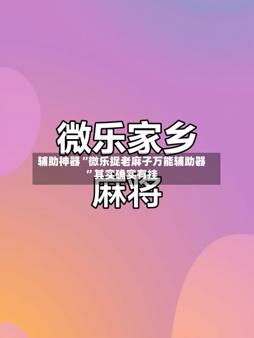 辅助神器“微乐捉老麻子万能辅助器	”其实确实有挂-第2张图片