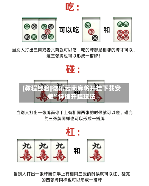 [教程经验]微乐云南麻将开挂下载安装	”详细开挂玩法-第2张图片
