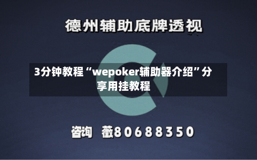 3分钟教程“wepoker辅助器介绍	”分享用挂教程-第2张图片