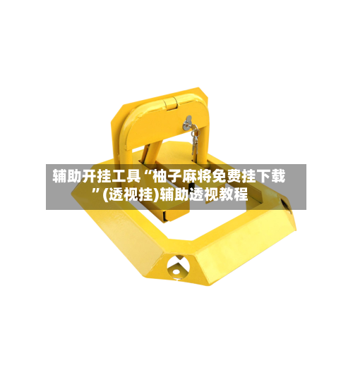 辅助开挂工具“柚子麻将免费挂下载	”(透视挂)辅助透视教程-第2张图片