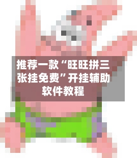 推荐一款“旺旺拼三张挂免费	”开挂辅助软件教程-第3张图片