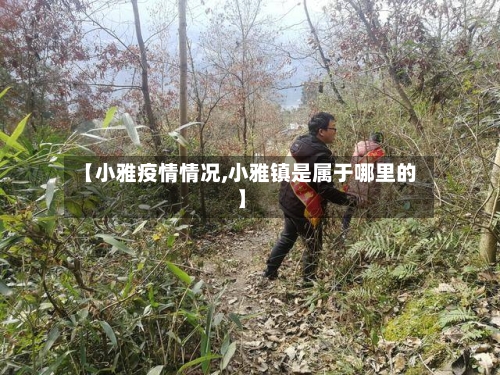 【小雅疫情情况,小雅镇是属于哪里的】-第1张图片