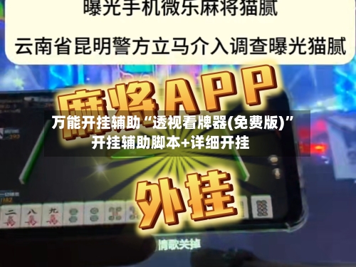 万能开挂辅助“透视看牌器(免费版)”开挂辅助脚本+详细开挂-第2张图片