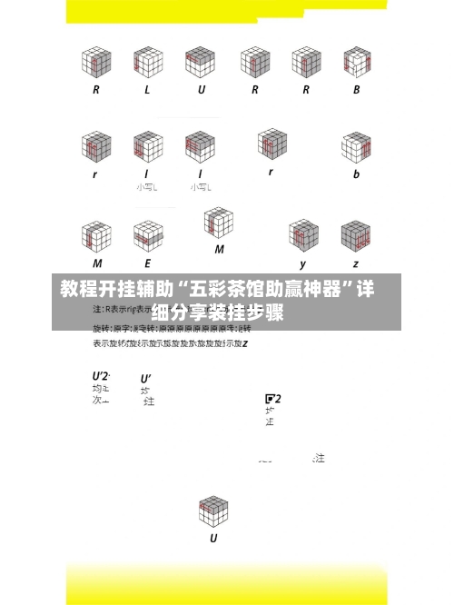 教程开挂辅助“五彩茶馆助赢神器”详细分享装挂步骤-第3张图片