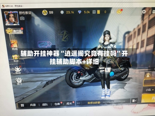 辅助开挂神器“逍遥阁究竟有挂吗”开挂辅助脚本+详细-第2张图片