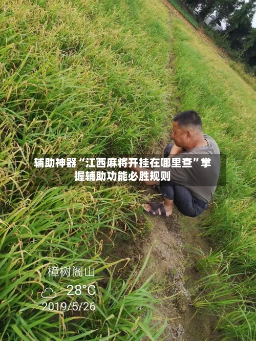 辅助神器“江西麻将开挂在哪里查	”掌握辅助功能必胜规则-第1张图片