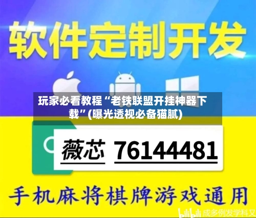 玩家必看教程“老铁联盟开挂神器下载”(曝光透视必备猫腻)-第2张图片
