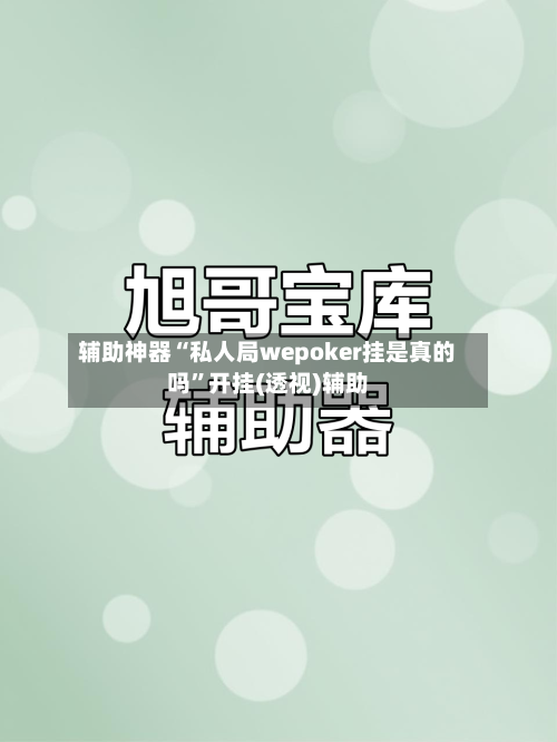辅助神器“私人局wepoker挂是真的吗	”开挂(透视)辅助-第2张图片