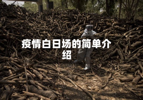 疫情白日场的简单介绍-第1张图片
