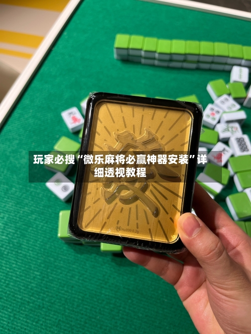 玩家必搜“微乐麻将必赢神器安装”详细透视教程-第1张图片