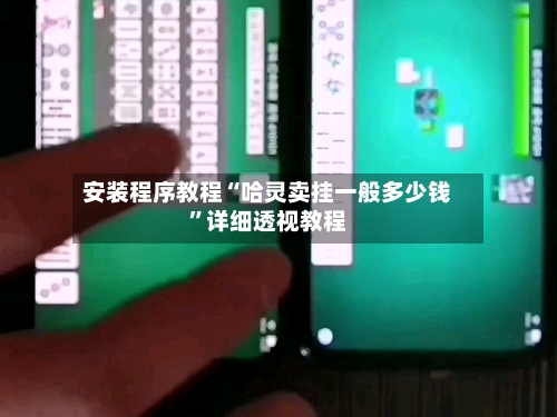 安装程序教程“哈灵卖挂一般多少钱	”详细透视教程-第2张图片