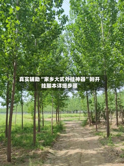 真实辅助“家乡大贰外挂神器”附开挂脚本详细步骤-第1张图片