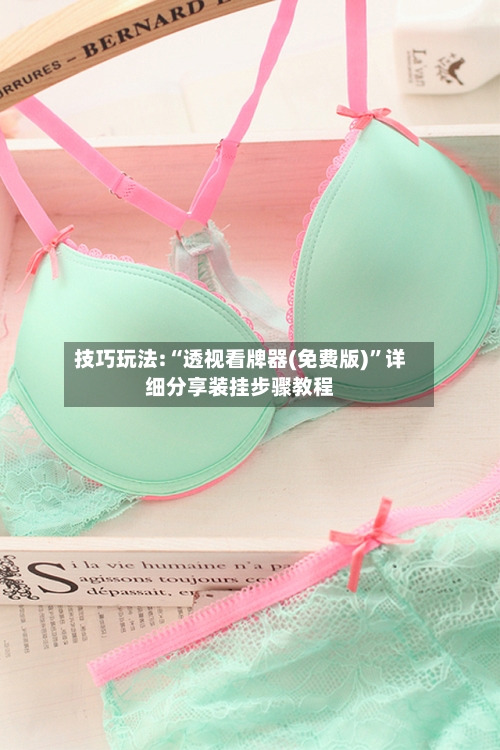 技巧玩法:“透视看牌器(免费版)”详细分享装挂步骤教程-第1张图片