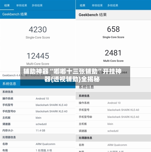 辅助神器“嘟嘟十三张辅助”开挂神器{透视辅助}全揭秘-第2张图片