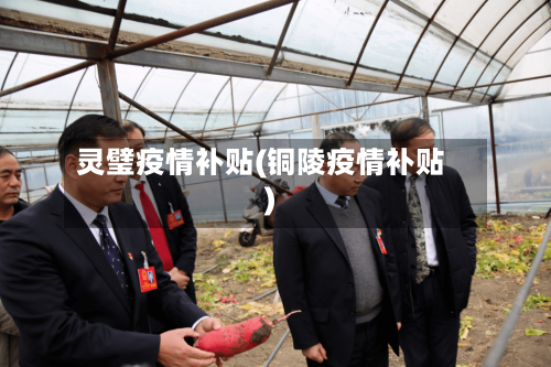 灵璧疫情补贴(铜陵疫情补贴)-第2张图片