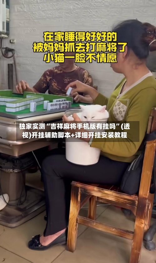 独家实测“吉祥麻将手机版有挂吗”(透视)开挂辅助脚本+详细开挂安装教程-第3张图片