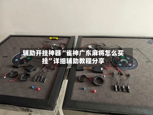 辅助开挂神器“雀神广东麻将怎么买挂”详细辅助教程分享-第2张图片