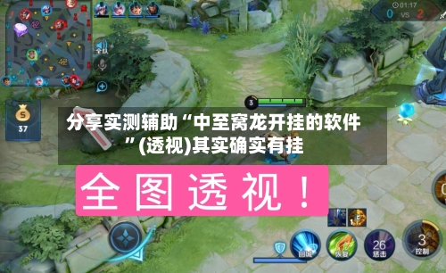 分享实测辅助“中至窝龙开挂的软件”(透视)其实确实有挂-第3张图片