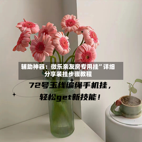 辅助神器：微乐亲友房专用挂”详细分享装挂步骤教程-第3张图片