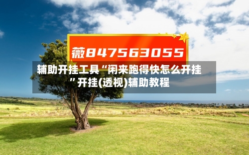 辅助开挂工具“闲来跑得快怎么开挂”开挂(透视)辅助教程-第2张图片