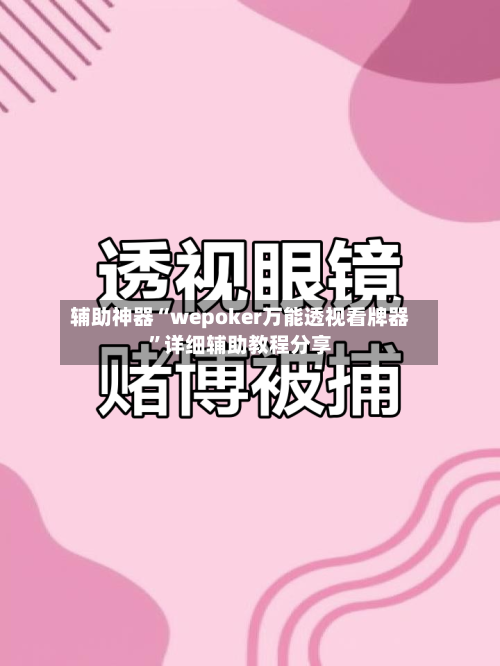 辅助神器“wepoker万能透视看牌器”详细辅助教程分享-第2张图片