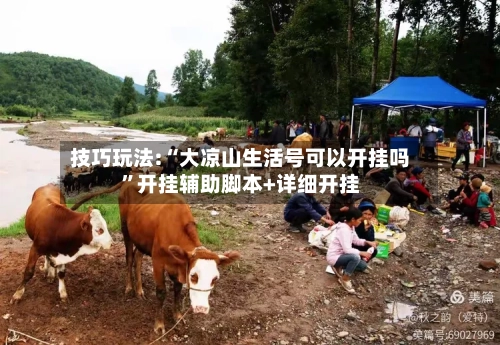 技巧玩法:“大凉山生活号可以开挂吗	”开挂辅助脚本+详细开挂-第3张图片