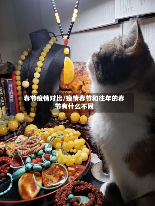 春节疫情对比/疫情春节和往年的春节有什么不同-第2张图片