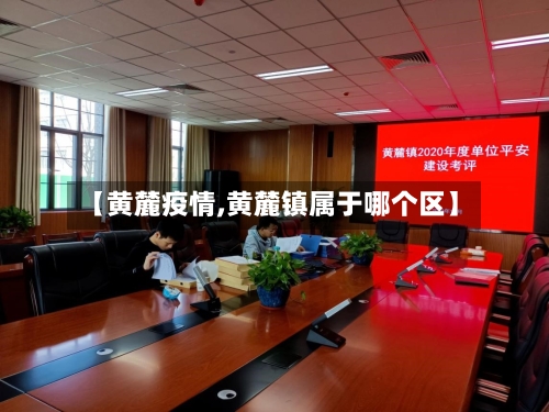 【黄麓疫情,黄麓镇属于哪个区】-第1张图片