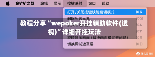 教程分享“wepoker开挂辅助软件(透视)”详细开挂玩法-第1张图片