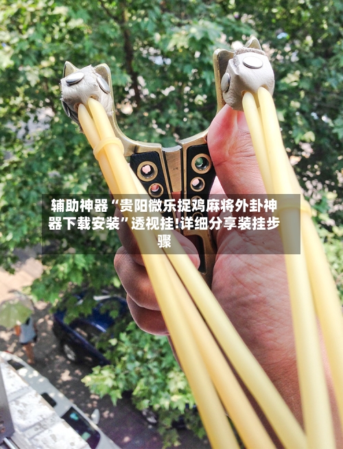 辅助神器“贵阳微乐捉鸡麻将外卦神器下载安装”透视挂!详细分享装挂步骤-第1张图片