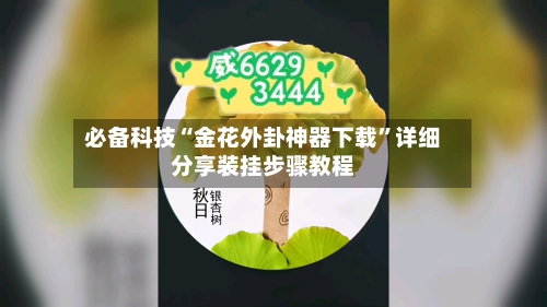 必备科技“金花外卦神器下载”详细分享装挂步骤教程-第1张图片