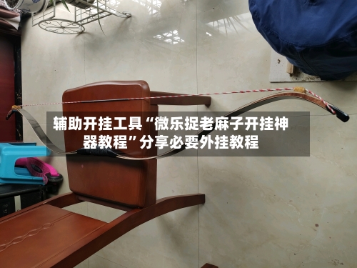 辅助开挂工具“微乐捉老麻子开挂神器教程”分享必要外挂教程-第3张图片
