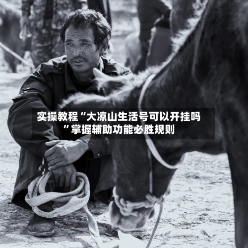 实操教程“大凉山生活号可以开挂吗	”掌握辅助功能必胜规则-第1张图片