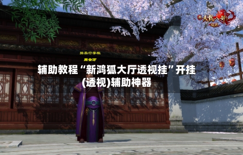 辅助教程“新鸿狐大厅透视挂	”开挂(透视)辅助神器-第2张图片