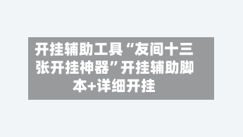 开挂辅助工具“友间十三张开挂神器”开挂辅助脚本+详细开挂-第3张图片