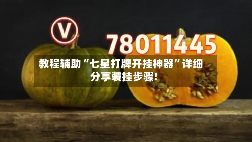 教程辅助“七星打牌开挂神器	”详细分享装挂步骤!-第1张图片