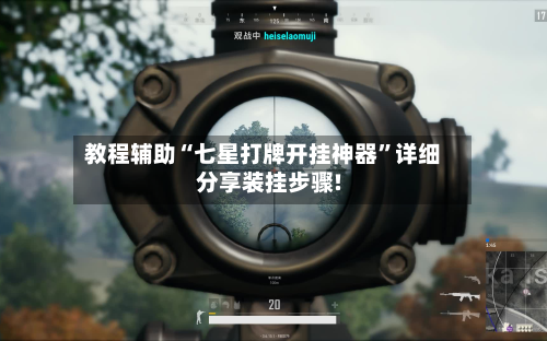 教程辅助“七星打牌开挂神器”详细分享装挂步骤!-第3张图片