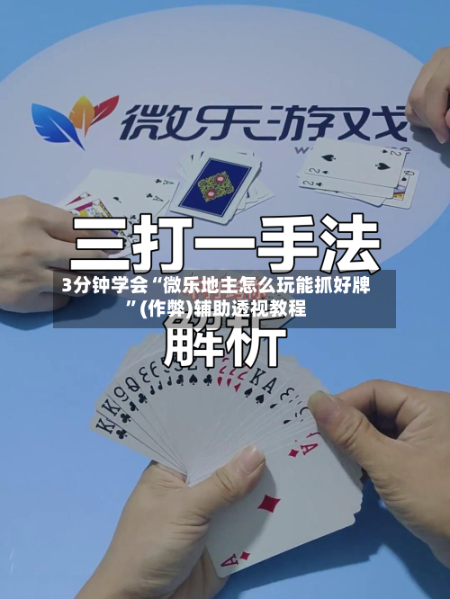 3分钟学会“微乐地主怎么玩能抓好牌”(作弊)辅助透视教程-第3张图片