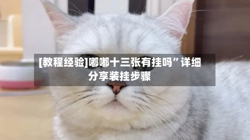 [教程经验]嘟嘟十三张有挂吗	”详细分享装挂步骤-第2张图片