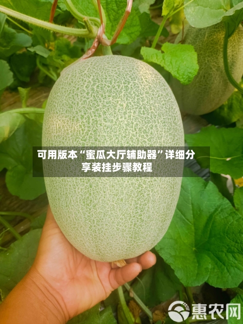 可用版本“蜜瓜大厅辅助器	”详细分享装挂步骤教程-第1张图片