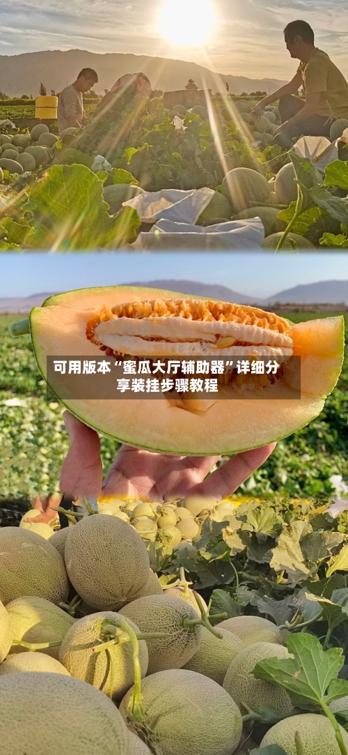 可用版本“蜜瓜大厅辅助器”详细分享装挂步骤教程-第3张图片