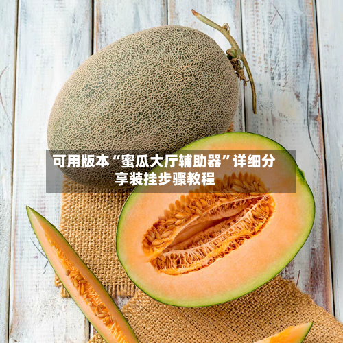 可用版本“蜜瓜大厅辅助器”详细分享装挂步骤教程-第2张图片