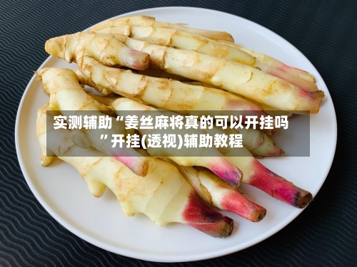 实测辅助“姜丝麻将真的可以开挂吗”开挂(透视)辅助教程-第1张图片