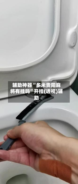 辅助神器“多米贵阳麻将有挂吗	”开挂(透视)辅助-第2张图片