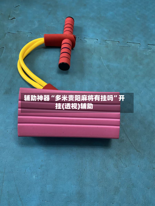 辅助神器“多米贵阳麻将有挂吗”开挂(透视)辅助-第1张图片